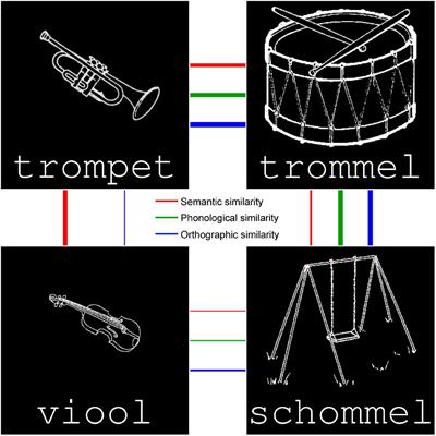 Characterizing the semantic and form-based similarity spaces of the mental lexicon by means of the multi-arrangement method